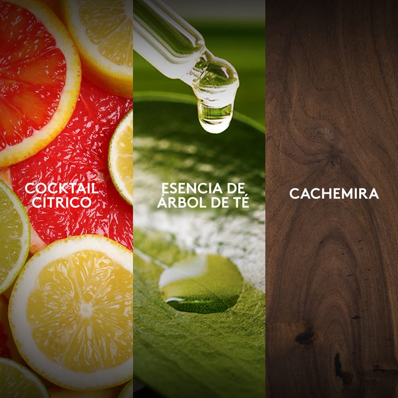 Ingredientes-de-producto