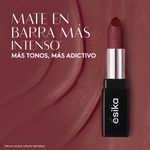 set-fashion-chic-incluye-labial-en-barra-mascara-de-pestanas-y-lapiz-delineador-de-ojos