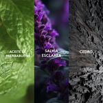 set-de-perfumes-para-hombre-de-aroma-herbal-aromatico-de-larga-duracion-marca-esika