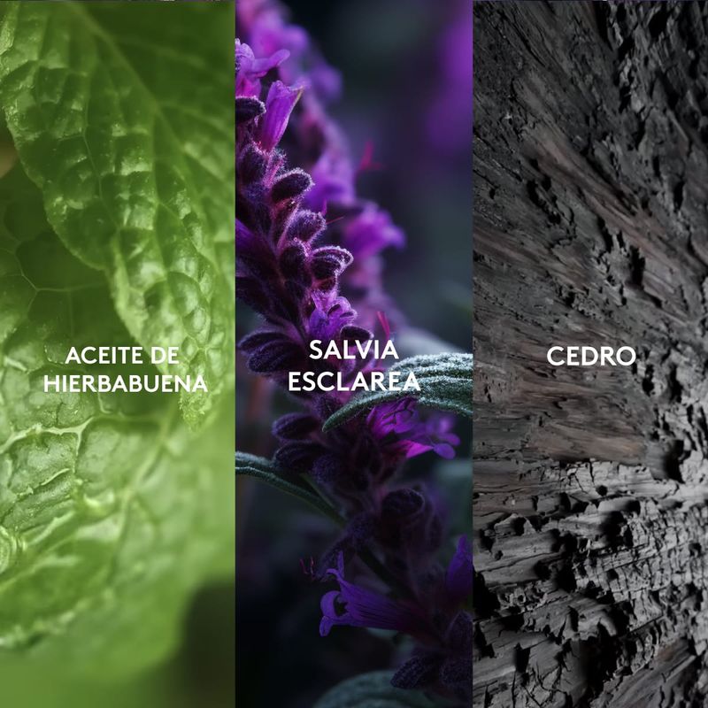 set-de-perfumes-para-hombre-de-aroma-herbal-aromatico-de-larga-duracion-marca-esika